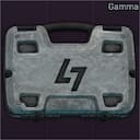 Защищенный контейнер "Гамма"