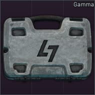 Защищенный контейнер "Гамма"